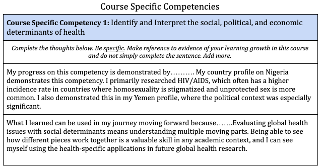Screenshot of a one column table with guidelines for students of the GOA Global Health class to complete to demonstrate what they have learned and how.