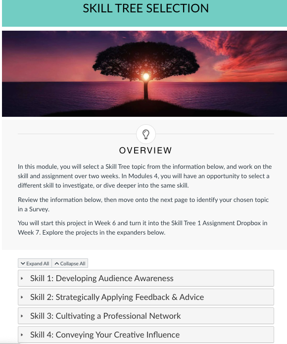 A list of four skills expected to be developed during a course