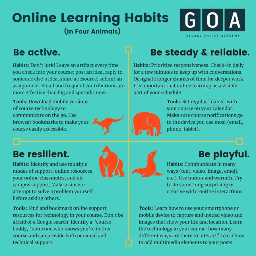 Online Learning Habits